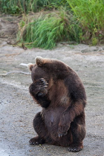 Михаил Спиридонов