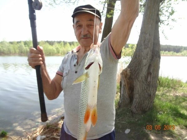 Григорий Александров