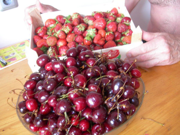 Андрей Рунов