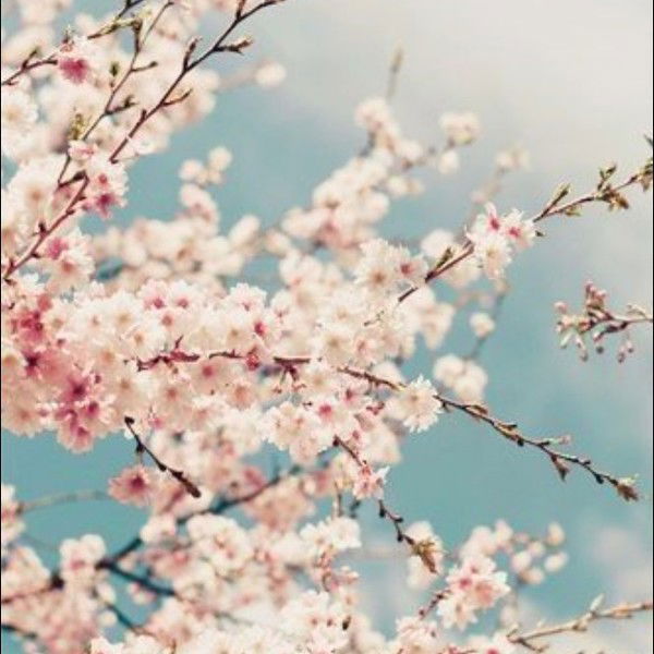 Анна Музалева