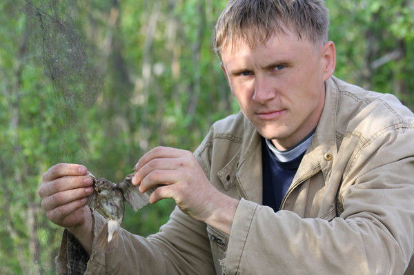 Андрей Линьков