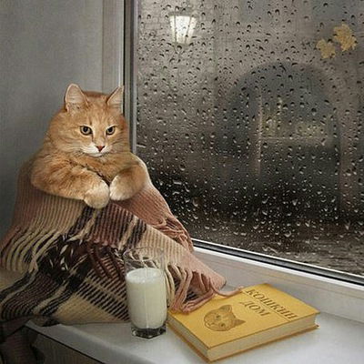 Ольга Лупанова