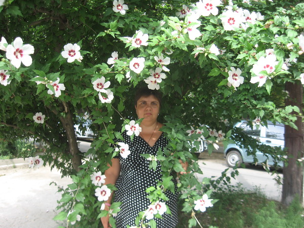 Анна Ларионова