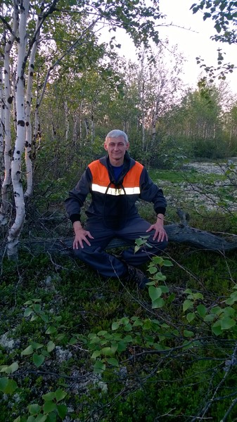 Андрей Романов