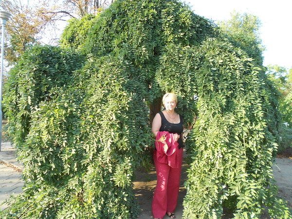 Лариса Тананова