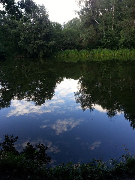 Ирина Белоглазова