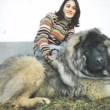 Андрей Яковлев