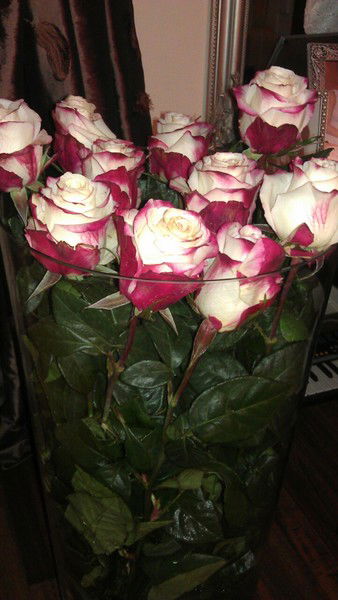 Ольга Щеткина