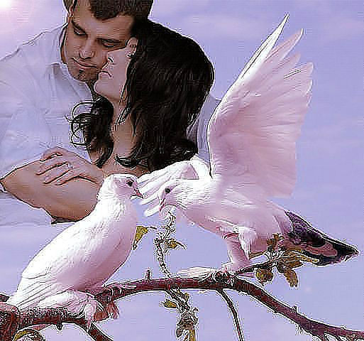 Sweet Heart