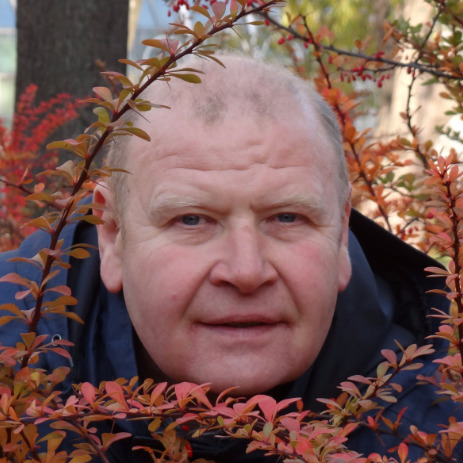 Виктор Соколов