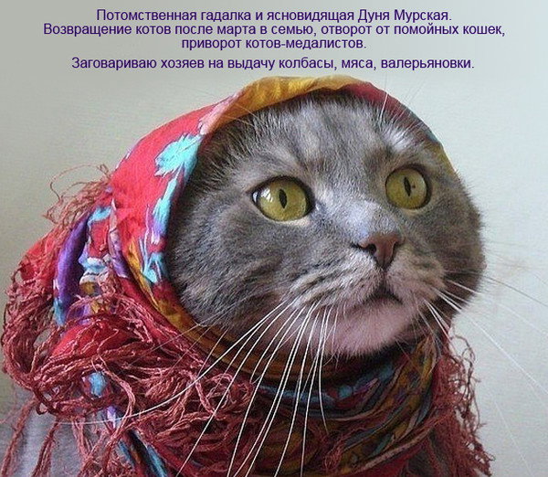 Дуня Мурская