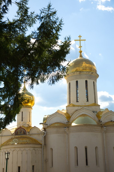 Татьяна Сангурова