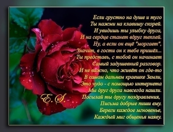 Ozodxon Saloxitdinova