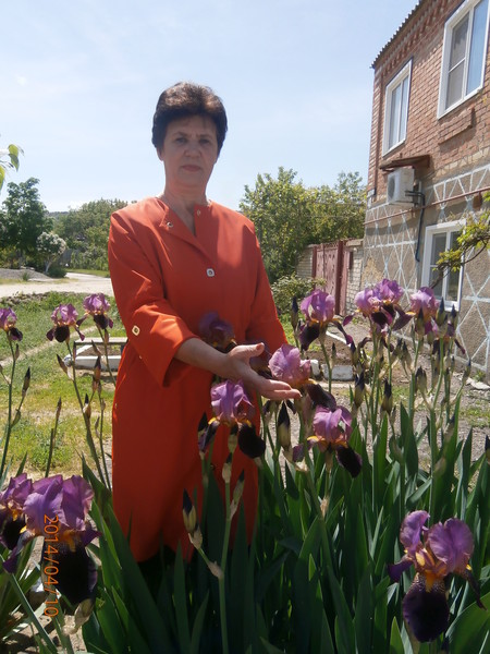 Татьяна Насонова