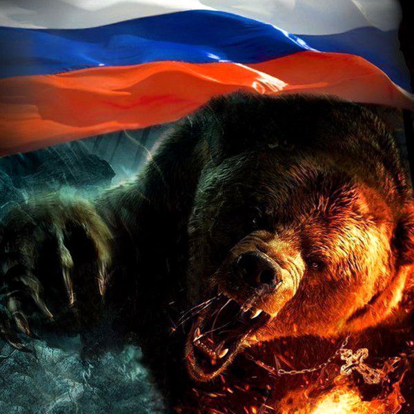 Андрей Гаврилов