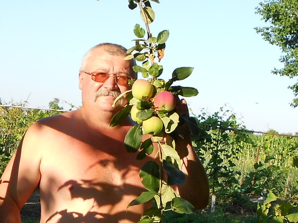 Александр Микулич