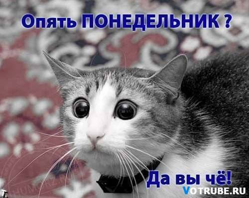 Штирлиц Саныч