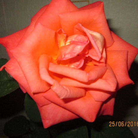 Зинаида Калинина