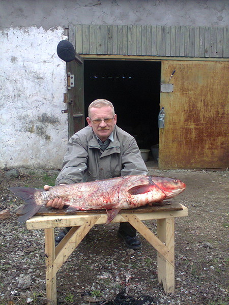 Александр Царёв