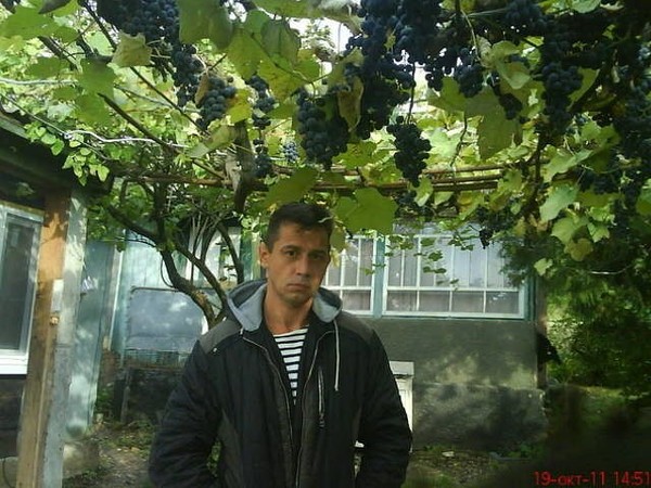 Vladimir Kryzhanovsky