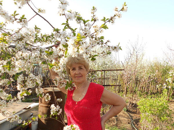 Нина Сивова(Башинская Стретович