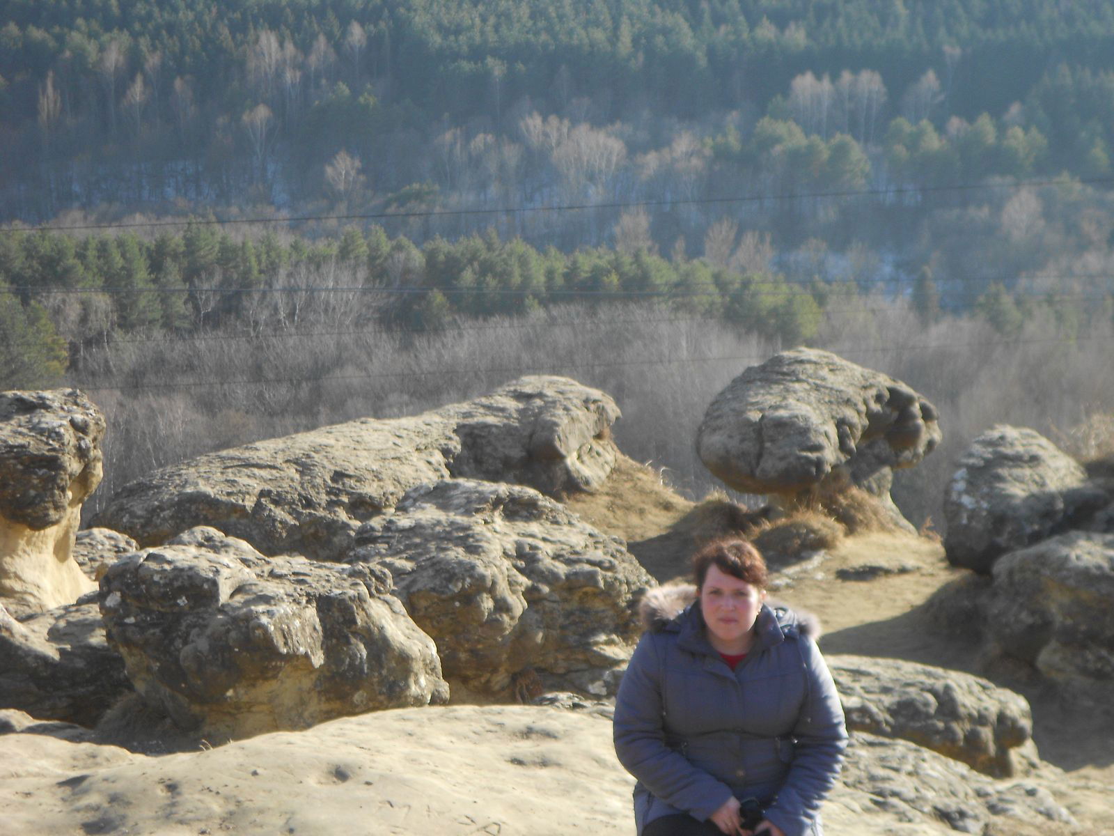 Елена Богданова