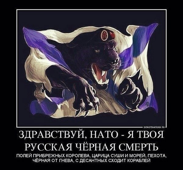 Антон Шкодин