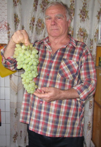 Николай Шлапунов