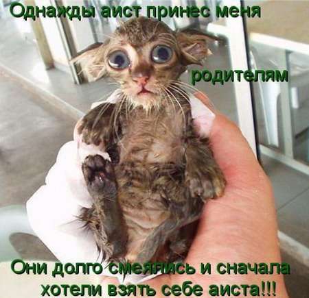 Яков К