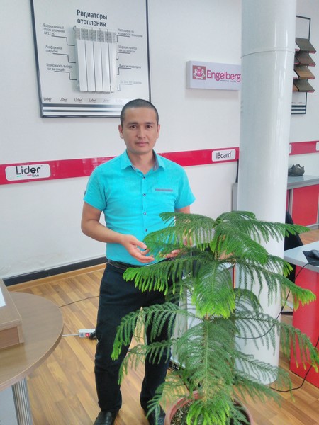 Kokand - 1 Exclusive Commission Service