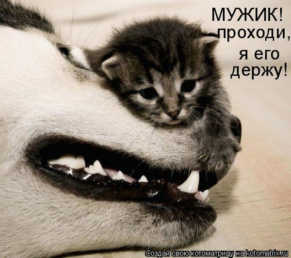 Юлия Магура