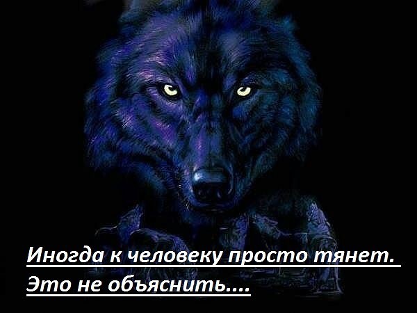Валерий Морозов