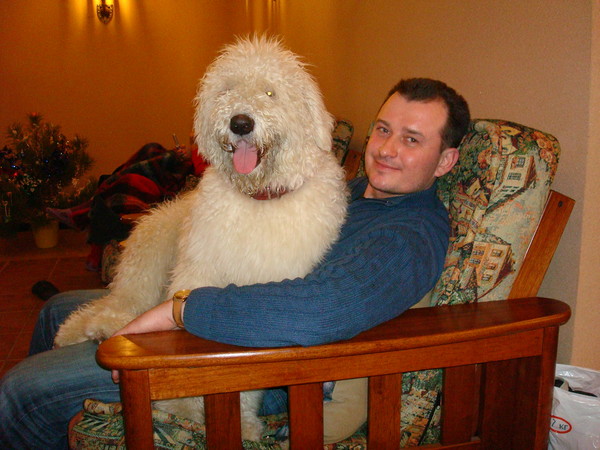 Андрей Габелков