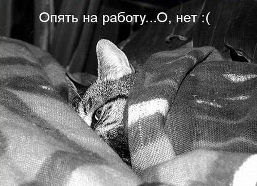 Наталья Луканина