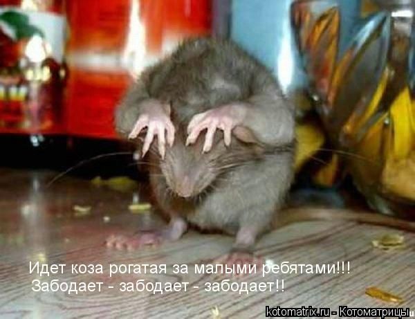 Дмитрий Простое