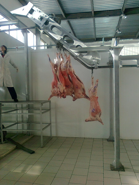 Александр *********(