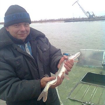 Александр Гоков
