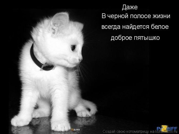 Мария Ялилова