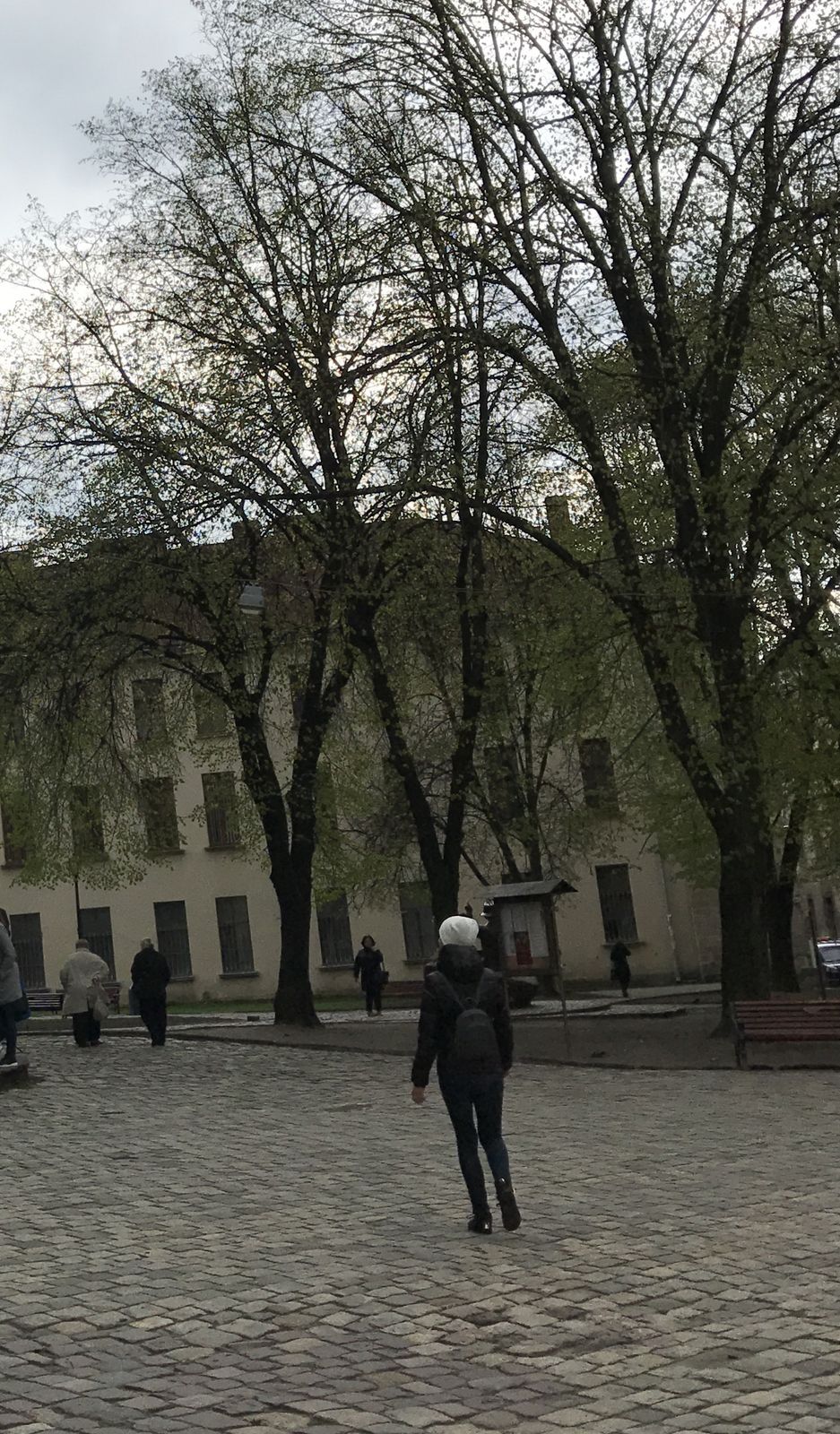 Оля Шендера