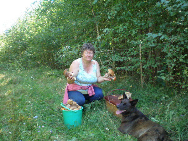 Светлана Елисеева