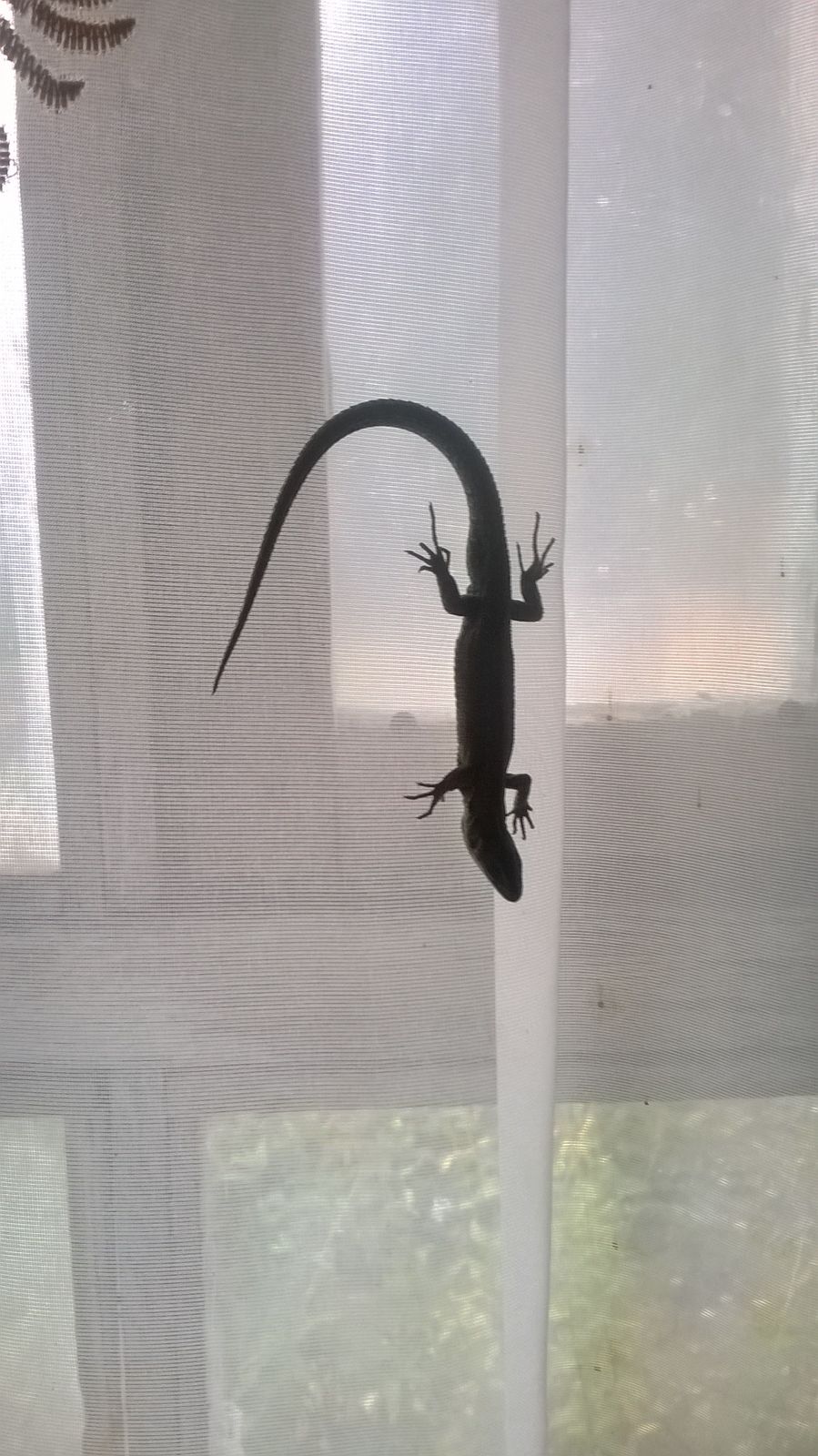 Сергей Курмаз