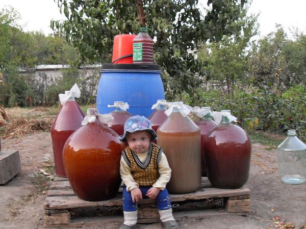 Владимир Лаврентьев