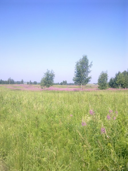 Клим .