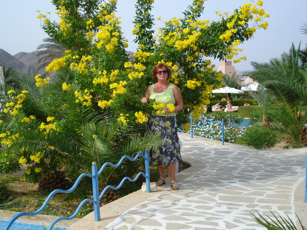 Элла Шитикова