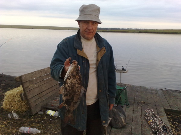 Владимир Тараненко