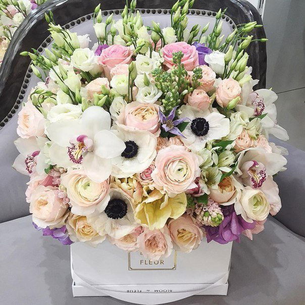 Мария Бирюкова