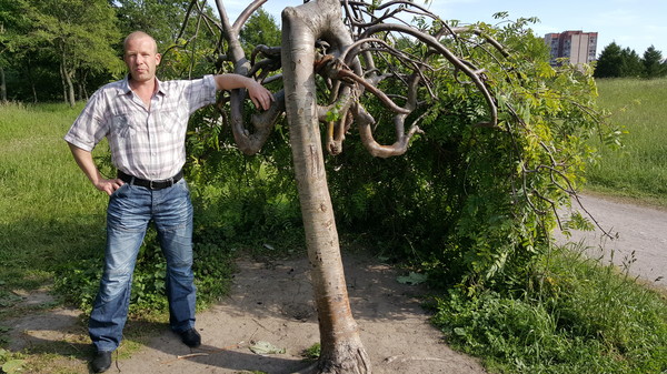 Ivan Chebotarev