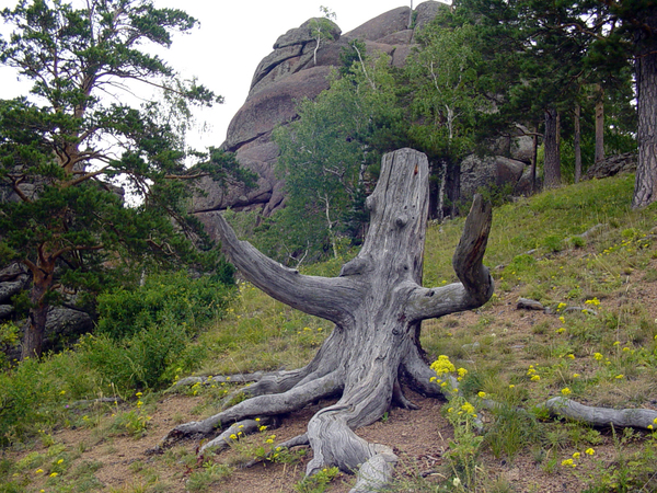 Александр
