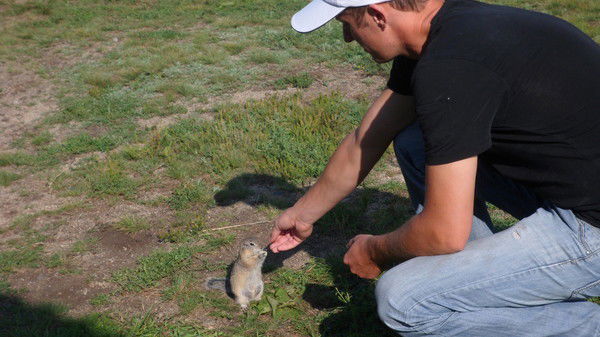 Николай Солонец