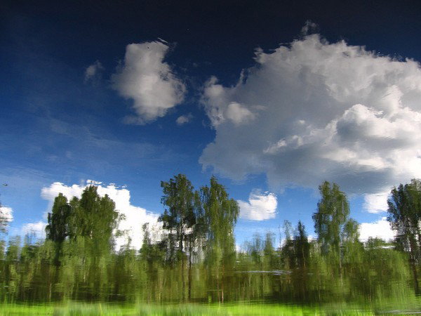 R Dmitriy
